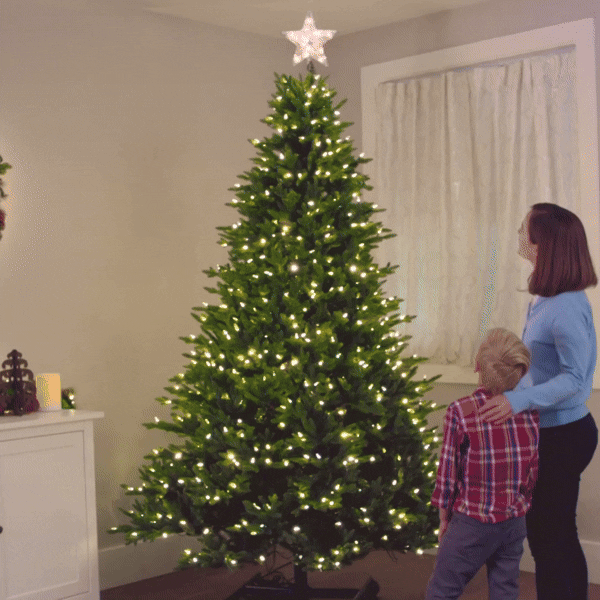🎄Auto-Expand Christmas Tree🎁